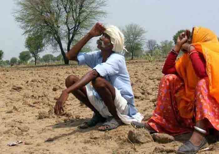 महाराष्ट्र में प्रतिदिन 7 किसान करते हैं आत्महत्या, सीएम फडणवीस के गृह क्षेत्र में हुई इतनी मौतें