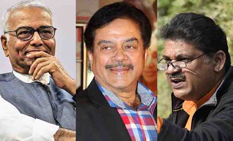 क्या 2019 से पहले विभाजन की तरफ बढ़ रही है बीजेपी?