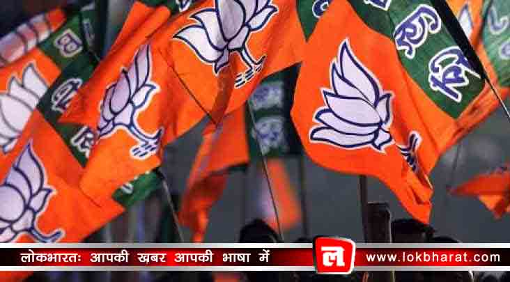 बीजेपी सांसद ने की पार्टी की किरकिरी, हार का बताया ये कारण