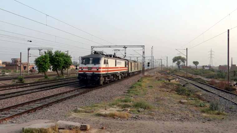 दिल्ली: शताब्दी एक्प्रेस की चपेट में आयीं 20 गायो की मौत