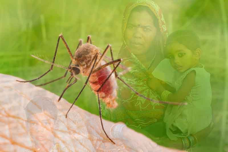 अब शहरी प्राथमिक स्वास्थ्य केंद्र में भी डेंगू जांच की सुविधा होगी उपलब्ध: संजय कुमार