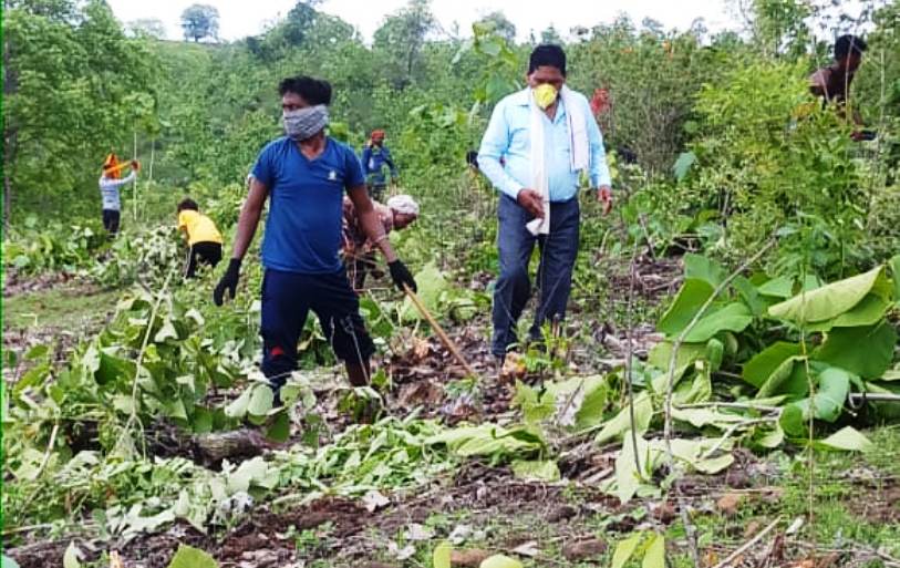 पांढुरना संक्षिप्त – बांस वृक्षारोपण स्थल का वन परिक्षेत्र अधिकारी ने किया औचक निरीक्षण