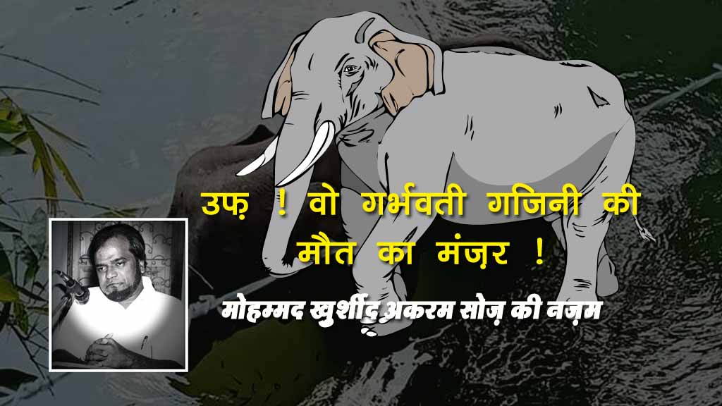 केरल में हथिनी की मौत पर मोहम्मद ख़ुर्शीद अकरम सोज़ की नज़्म