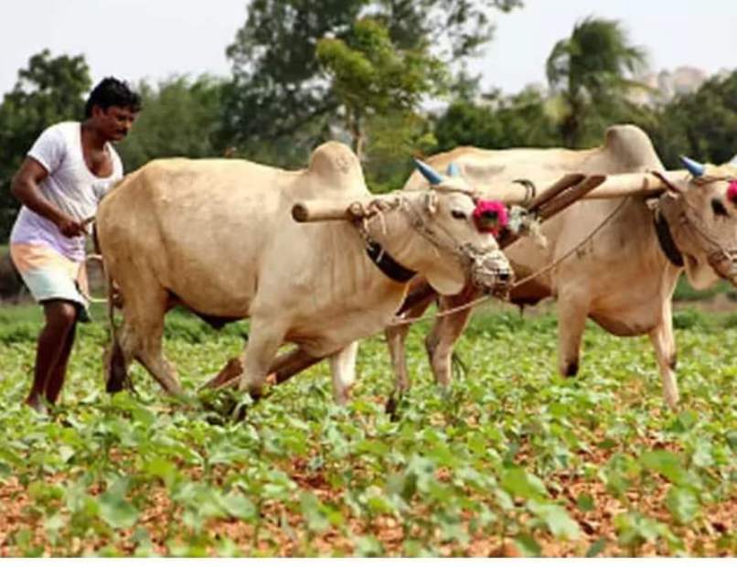 किसानों को अगले 5 दिनों के मौसम को देखते हुये कृषि कार्य करने की सलाह