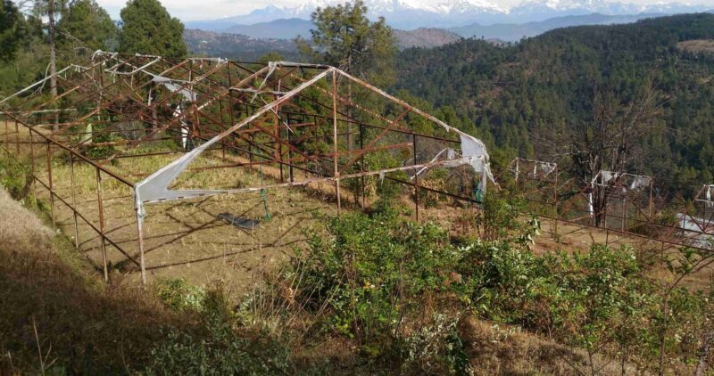 सरकारी नीतियों में उलझे उत्तराखंड के किसान