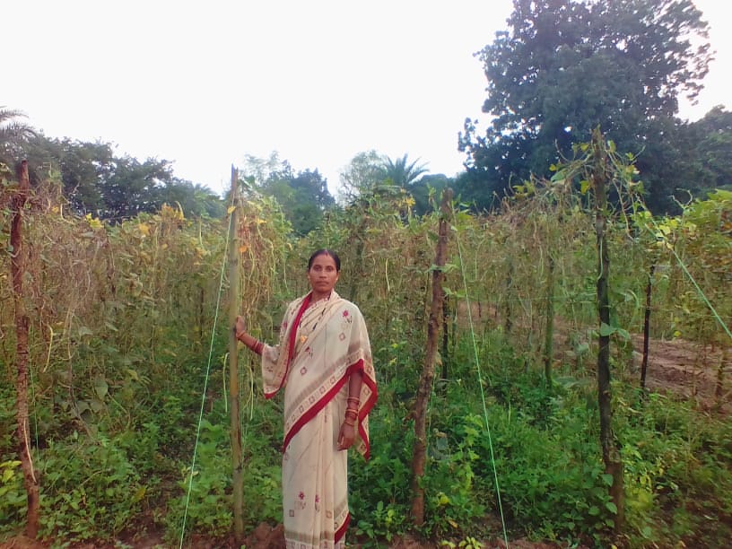 छत्तीसगढ़ : आपदा को अवसर में बदलती महिलाएं