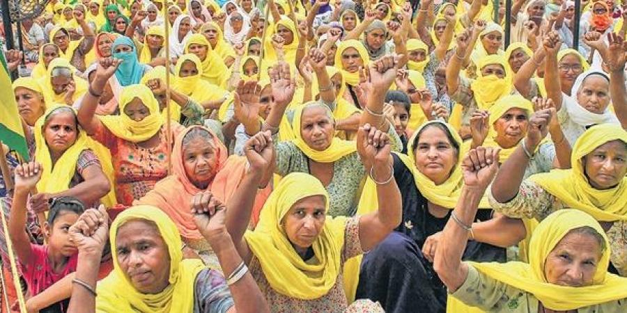 महिला किसानो पर टिप्पणी के खिलाफ 800 से अधिक महिला किसानो ने चीफ जस्टिस को लिखा पत्र