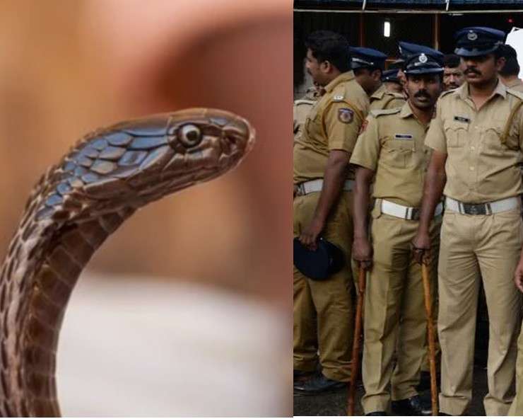 केरल में पुलिस थाने के ‘रक्षक’ बने ‘सांप’