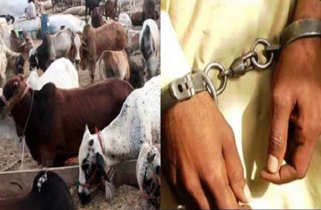 बुलंदशहर में दो गौतस्‍कर गिरफ्तार