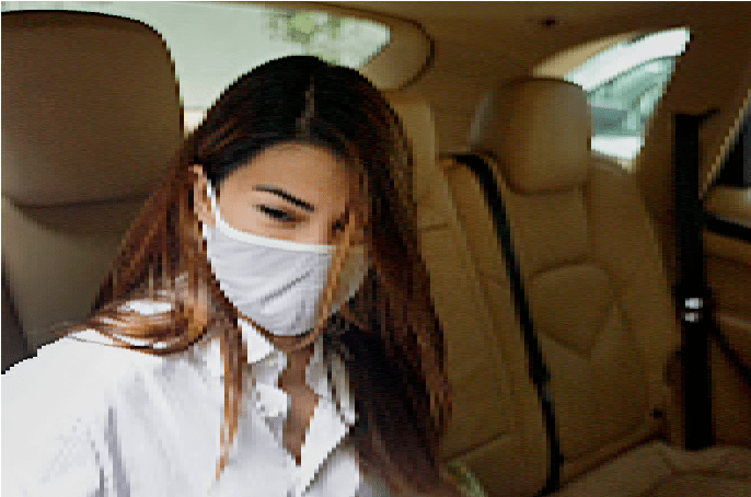 Money Laundering Case : कोर्ट से जैकलीन फर्नांडिज को मिली अंतरिम जमानत