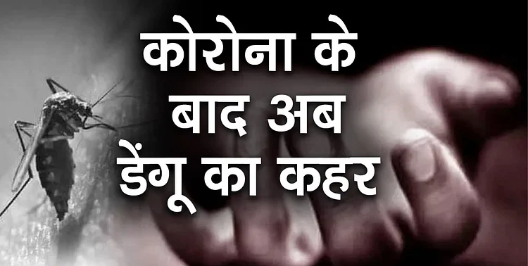 Dengue cases in Patna : ब्लड बैंकों ने बिना डोनर देना किया बंद, प्लेटलेट्स की मांग हुई दोगुनी