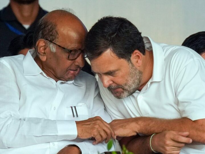 राहुल गांधी के वोट चोरी के आरोपों पर बोले पवार, “चुनाव आयोग इस पर गौर करे”