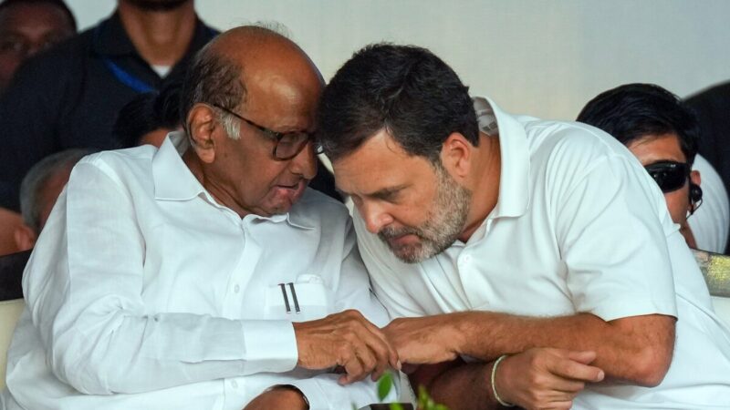 राहुल गांधी के वोट चोरी के आरोपों पर बोले पवार, “चुनाव आयोग इस पर गौर करे”